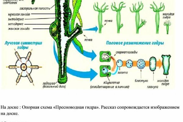 Как найти кракен шоп